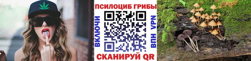 OMG ONION  Белоусово  Галлюциногенные грибы Psilocybe 